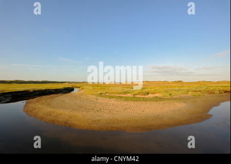 Tideway durch ein Salz Wiese, Netherlands, nördlichen Niederlande, Texel Stockfoto