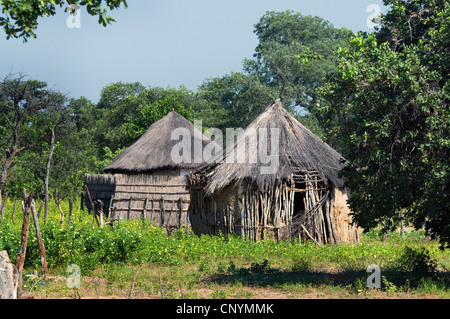 strohgedeckten Hütten eines Dorfes in der Nähe von Tsodilo Botswana Stockfoto