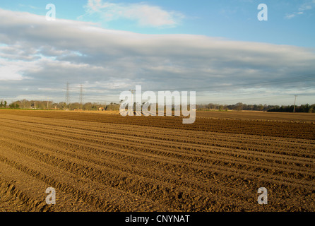 Acker im Dorf Blaxhall in Suffolk im April United Kingdom Stockfoto