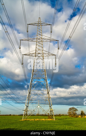 Strommasten im Feld in Suffolk Vereinigtes Königreich Stockfoto