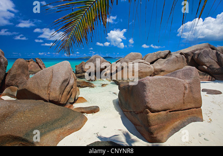 felsige Küste Landschaft der Seychellen, Anse Source d ' Argent, Seychellen, La Digue Stockfoto