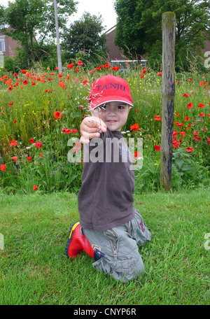 kleiner Junge kniend auf einer Wiese vor Mohn Blumen bietet eine Rasen-Ohr Stockfoto