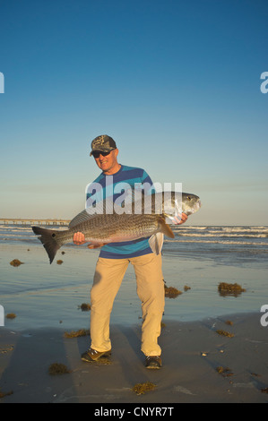 Angler an einem Strand präsentiert Trophäe große Fische gefangen in den Golf von Mexiko Stockfoto