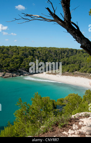 Mit Blick auf das türkisfarbene Wasser und weißem Sand von trebaluger Strand Menorca Stockfoto