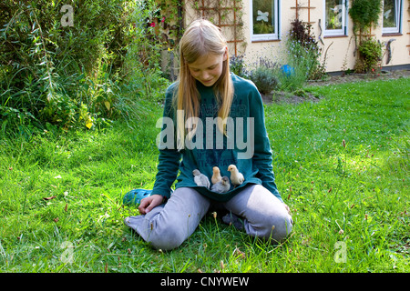 Hausgeflügel (Gallus Gallus F. Domestica), Mädchen spielen mit Henne Küken im Garten, Deutschland Stockfoto