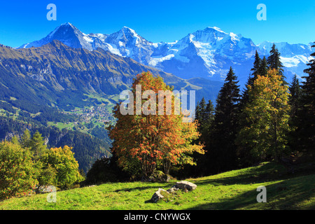 Blick vom Sulwald (1594 m) über den sogenannten bei den drei Bergen Ogre (Eiger, 3970 m), Mönch (Mönch, 4107 m) und Jungfrau (Jungfrau, 4158 m) dominiert das Berner Oberland, Schweiz, Bern, Berner Oberland Stockfoto