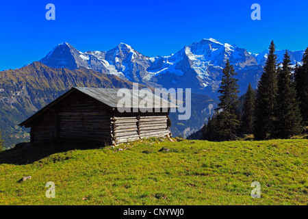 Blick vom Sulwald (1594 m) auf den drei Bergen Ogre (Eiger, 3970 m), Mönch (Mönch, 4107 m) und Jungfrau (Jungfrau, 4158 m) dominiert das Berner Oberland, Schweiz, Berner Oberland Stockfoto