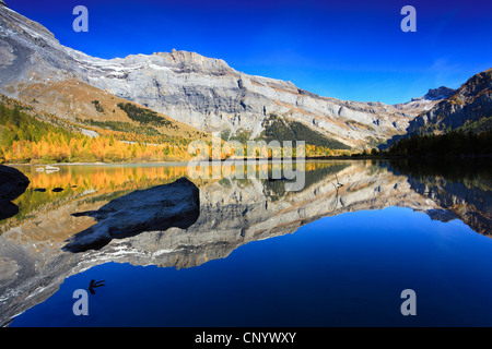 Lac de Derborence mit reflektierenden Gebirge unter einem strahlend blauen Himmel, Schweiz, Wallis Stockfoto