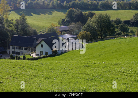 Reitzentrum in der Nähe von Erkrath, Germany, North Rhine-Westphalia, Erkrath Stockfoto