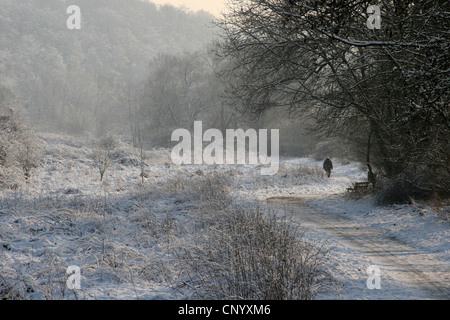 Winter im FFH-Gebiet Heisinger Aue, Deutschland, Nordrhein-Westfalen, Ruhrgebiet, Essen Stockfoto