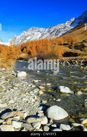 Tal Lötschental mit Lonza Fluss, Blick auf Alpine übergibt Loetschenluecke, Schweiz, Wallis Stockfoto