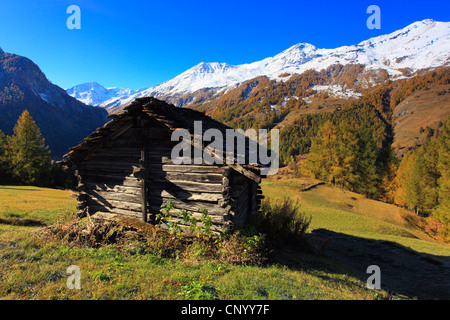 Blockhaus auf einer Wiese im Val dHrens, Schweiz, Wallis Stockfoto