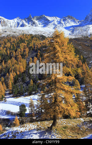 Tal Arollatal mit Aiguille De La Tsa (3668 m), Schweiz, Wallis Stockfoto