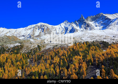 Tal Arollatal mit Aiguille De La Tsa (3668 m), Schweiz, Wallis Stockfoto