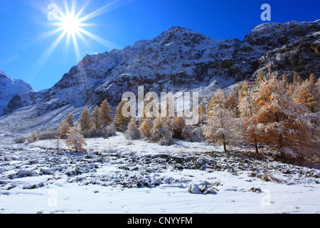 verschneite Arolla-Tal, Schweiz, Wallis Stockfoto