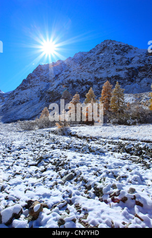 Arolla-Tal und Berg Collon im Schnee, Schweiz, Wallis Stockfoto