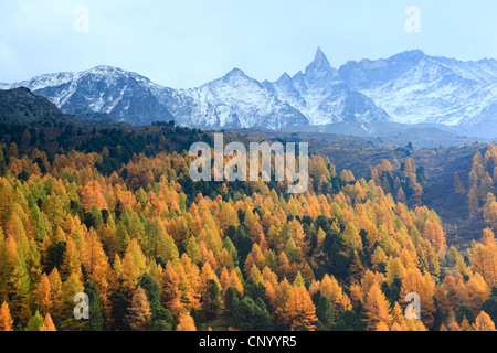 Tal Arollatal mit Aiguille De La Tsa (3668 m), Schweiz, Wallis Stockfoto