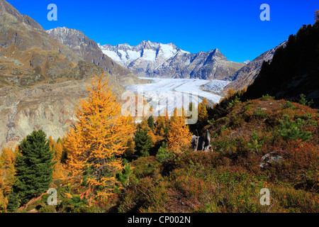 Großen Aletschgletscher, der größte Gletscher in den Alpen und der Wannenhorns, der Schweiz, Wallis Stockfoto