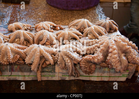 frische Calamars auf den Fisch-Markt, Tansania, Sansibar, Stonetown Stockfoto