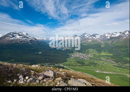 Ansichten von Celerina und St. Moritz von einem oberen Muottas Muragl, Schweiz, Graubünden, St. Moritz Stockfoto