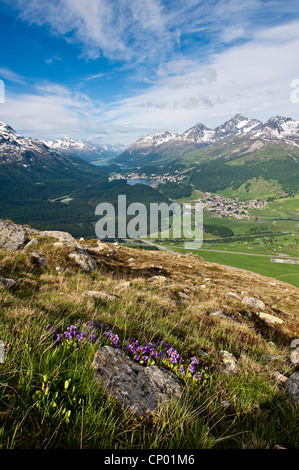 Ansichten von Celerina und St. Moritz von einem oberen Muottas Muragl, Schweiz, Graubünden, St. Moritz Stockfoto