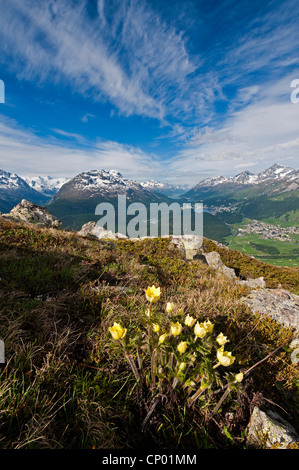 Ansichten von Celerina und St. Moritz von einem oberen Muottas Muragl, Schweiz, Graubünden, St. Moritz Stockfoto