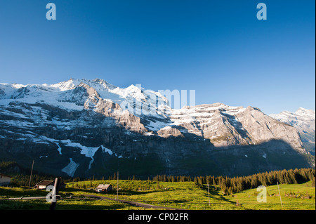 Jungfraumassiv von Kleine Scheidegg, Schweiz, Berner Oberland Stockfoto