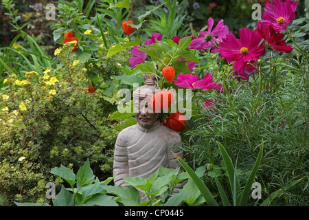 Garten Kosmos, mexikanische Aster (Cosmos Bipinnatus), buddhistische Skulptur in ein Blumenbeet Stockfoto