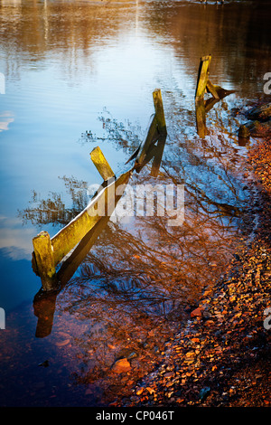 Verfallene Holzstücke ragen aus dem Ufer des Sees am Lymm-Damm, Cheshire, an einem sonnigen Abend Stockfoto