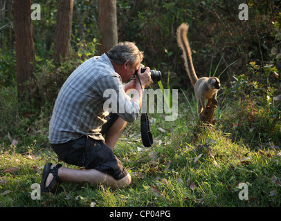 Martin Clunes rot-fronted braune Lemuren in Madagaskar zu fotografieren. Vakona Forest Lodge Reserve, Andasibe, Madagaskar, Afrika. Stockfoto