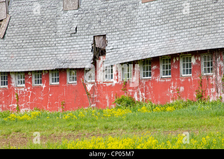 Baufälligen alten Bauernhof Scheune Stockfoto