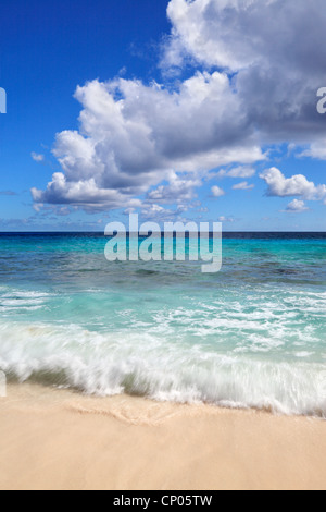 Tropische Schönheit der Anse Patates auf La Digue auf den Seychellen Stockfoto