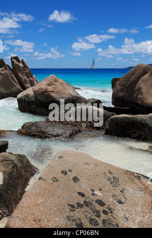 Tropische Schönheit der Anse Patates auf La Digue auf den Seychellen Stockfoto