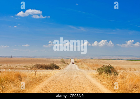 Pilger auf dem Jakobsweg führt durch Stoppelfeldern zwischen Azofra und Cirue ein Ciri Uela, Spanien, Baskenland, La Rioja, Navarra Stockfoto