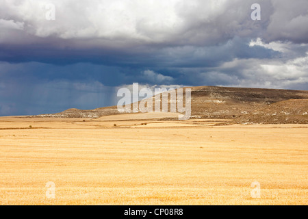 Gewitterwolken im Meseta auf dem Weg von Castrojeriz nach San Nicols de Puente Fitero, Spanien, Kastilien und Leon, Burgos, Weg von Castrojeriz Nach San Nic Stockfoto