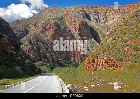 Straße in einem Tal zwischen Plettenberg Bay und Beaufort West, Südafrika, Eastern Cape, Beaufort West Stockfoto