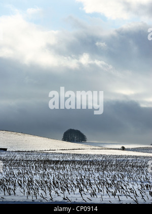 Sonnenlicht bündeln auf verschneiten Feldern in der Ferne auf die Marlborough Downs in der Nähe von Avebury mit Weizen Stoppeln im Vordergrund. Stockfoto