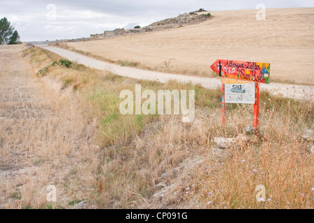 Wegweiser auf dem Jakobsweg durch ausgetrocknet Wiese und Feld Landschaft zeigt den Weg zu der Pilgerherberge in San Bol, Spanien, Kastilien Und Le n, San Bol Stockfoto