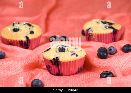 hausgemachte Blaubeeren Muffins über rosa Stoff und Früchte um Stockfoto