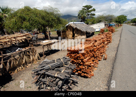 Bündel von Holz warten Sammlung entlang einer Straße in der Nähe von Dili Timor-Leste Stockfoto