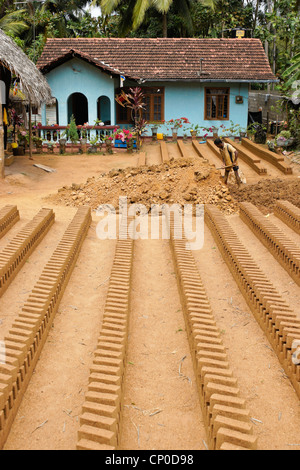 Mann, Lehmziegeln, Sri Lanka Stockfoto