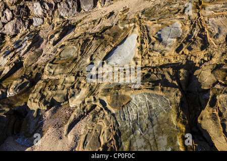 Basaltfelsen vermehren sich entlang der Sunshine Coast in Queensland, Australien, in Anspielung auf die heftige vulkanische Vergangenheit dieser Gegend. Stockfoto