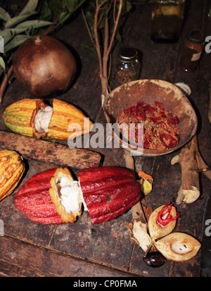 Kakaobohnen und Muskatnuss in Grenada Stockfoto