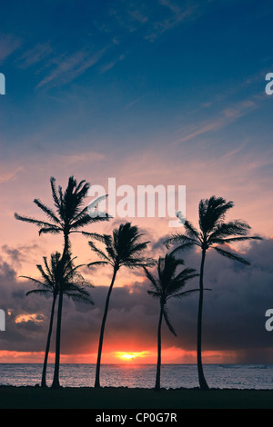 Sonnenaufgang in Kapaa Beach Park mit Palmen - Ostküste Kauai, Hawaii Stockfoto