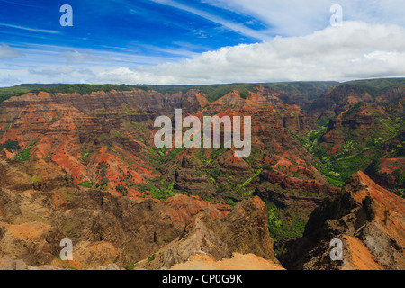 Ausblick über den Waimea Canyon. Kauai, Hawaii Stockfoto