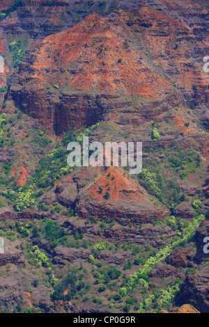 Ausblick über den Waimea Canyon. Kauai, Hawaii Stockfoto