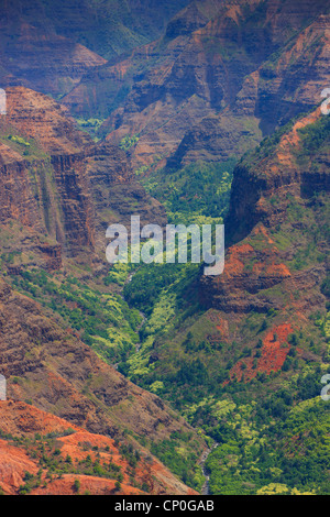 Ausblick über den Waimea Canyon. Kauai, Hawaii Stockfoto