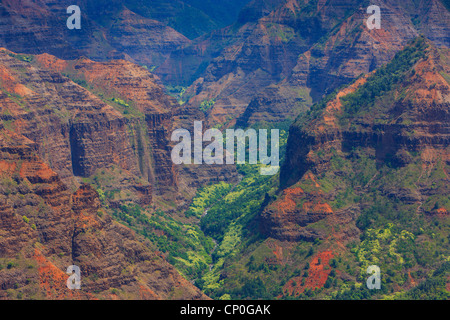 Ausblick über den Waimea Canyon. Kauai, Hawaii Stockfoto