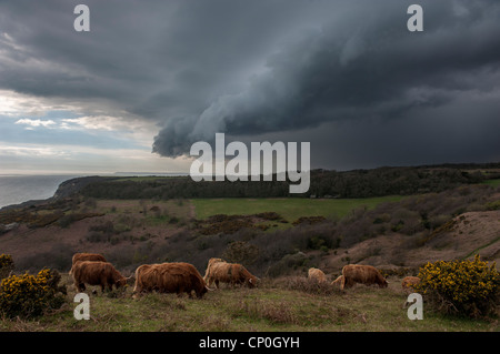 Gewitterwolken über dem Land Park in Hastings, East Sussex UK Stockfoto