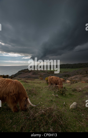 Gewitterwolken über dem Land Park in Hastings, East Sussex UK Stockfoto